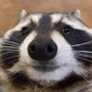 Meet your Posher, Thalia